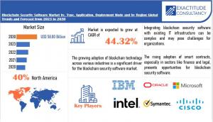 Blockchain Security Software Market