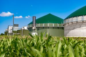 Biogas is emerging as an increasingly popular renewable energy source.