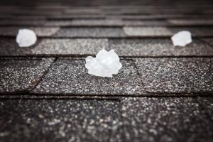 Photo of hailstones on a roof shingle