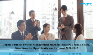 Japan Business Process Management Market Research Report 2024-2032