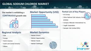 Sodium Chloride Market Size, Share, Trends, Growth, Key Players and Forecast 2024-2032