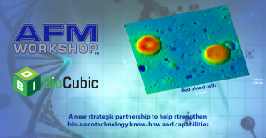 AFMWorkshop and Biocubic Partnership Logos with Red Blood Cell AFM image