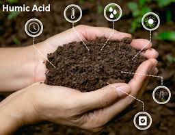 Global Humic Acid Market
