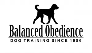 Balanced Obedience Launches Comprehensive Online Dog Training Course