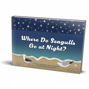 Hull, Mass. Author Unveils Whimsical World in Children’s Book, “Where Do Seagulls go at Night?”