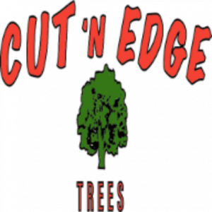 Professional Tree Services Friendswood TX