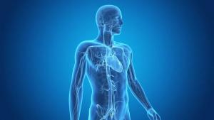 Medical Animation Market