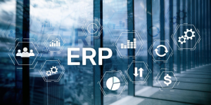 Enterprise Resource Planning (ERP)