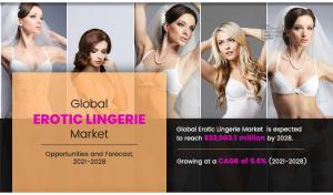Erotic Lingerie Market Size, Share