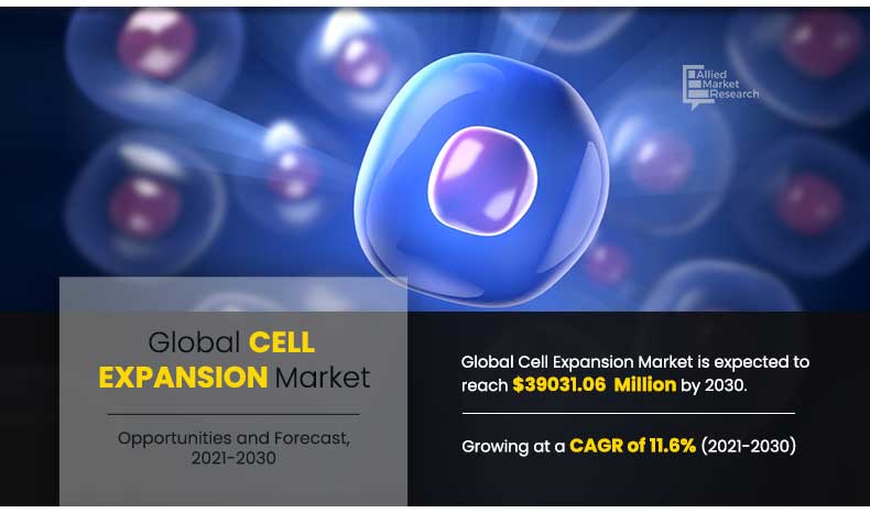 Cell Expansion Market AMR