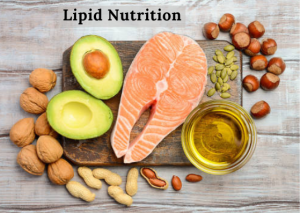 Lipid Nutrition Market Trend