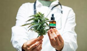 Medicinal Cannabis Market