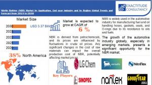 Nitrile Rubber (NBR) Market