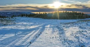 A drone captures ariel footage of 4 snowmobilers heading across a powder field. The sun sets in the distance behind clouds and tall standing pine trees with the sun reflecting on the snow.