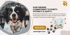 Paw Origins’ Rigorous Third-Party Certificate of Analysis Reinforces Consumer Confidence in Happy-Furever Series
