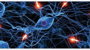 Bioelectric Medicine Market