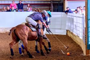 two arena polo players stretch to reach the ball in the mouth of goal as spectators look on