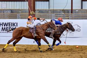 two arena polo players ride fast horses in a game