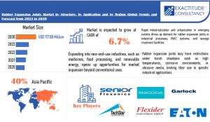 Rubber Expansion Joints Market