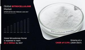 Nitrocellulose Market Worldwide