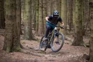 Mountain Bicycles Market