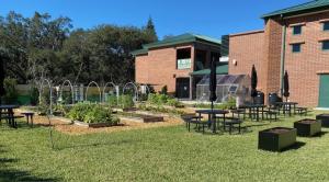 seed-to-table garden
