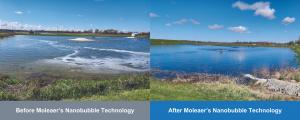 Lagoon Before and After Moleaer's Nanobubble Technology