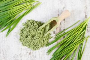 Barley Grass Market