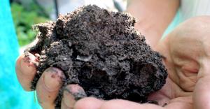 Biochar Market Report 2024