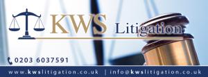 KWS Litigation is ideal for professional investors seeking low-risk alternatives with exceptional returns