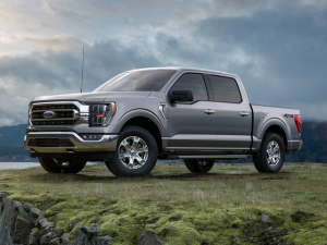 Ford F-150® Vehicle