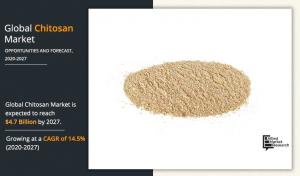 Chitosan Market Report