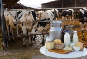 Global Dairy Market Size, Trends, In-Depth Insights, Opportunity and Forecast 2024-2032