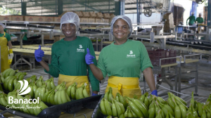 Banacol promuove la sostenibilità e il progresso in Urabá