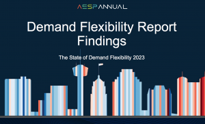Demand Flexibility Report Findings 2024