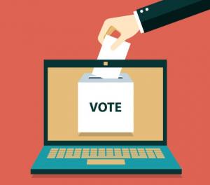Online Voting Software1