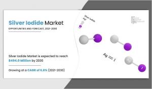 Silver Iodide Market Size