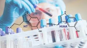 Advanced Functional Materials