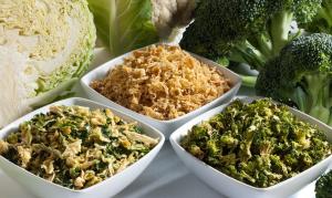 Vegetable Dehydration Processing Plant Project Report