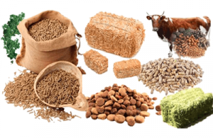 Animal Feed Manufacturing Plant Project Report