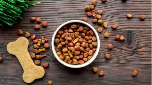 Saudi Arabia Pet Food Market Latest Report 2024-2032