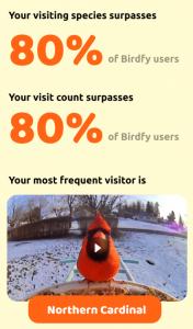 Birdfy Recap Visitors