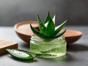 Aloe Vera Gel manufacturing Plant