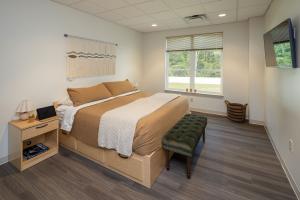 Alpas Wellness Patient Bedroom