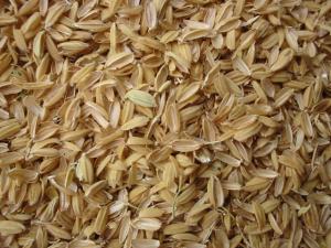 Rice Husk Ash Manufacturing Plant Report on Raw Material Requirements and Cost for Setup an Unit