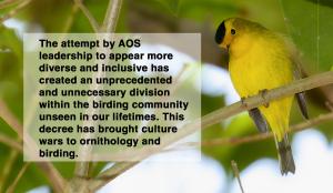 Image of Wilson's Warbler named for Alexander Wilson. An eponymous bird name.