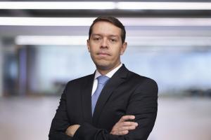 Partner in the Tax practice