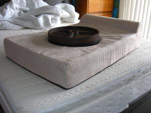 Dog Bed