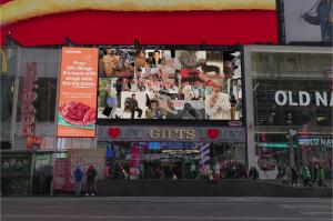 A Pet-exclusive SNS Platform XOOX, Hosts Pet-Loving Celebrities Birthday Celebration Event at Times Square