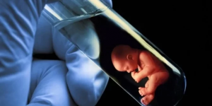 Ivf 2024